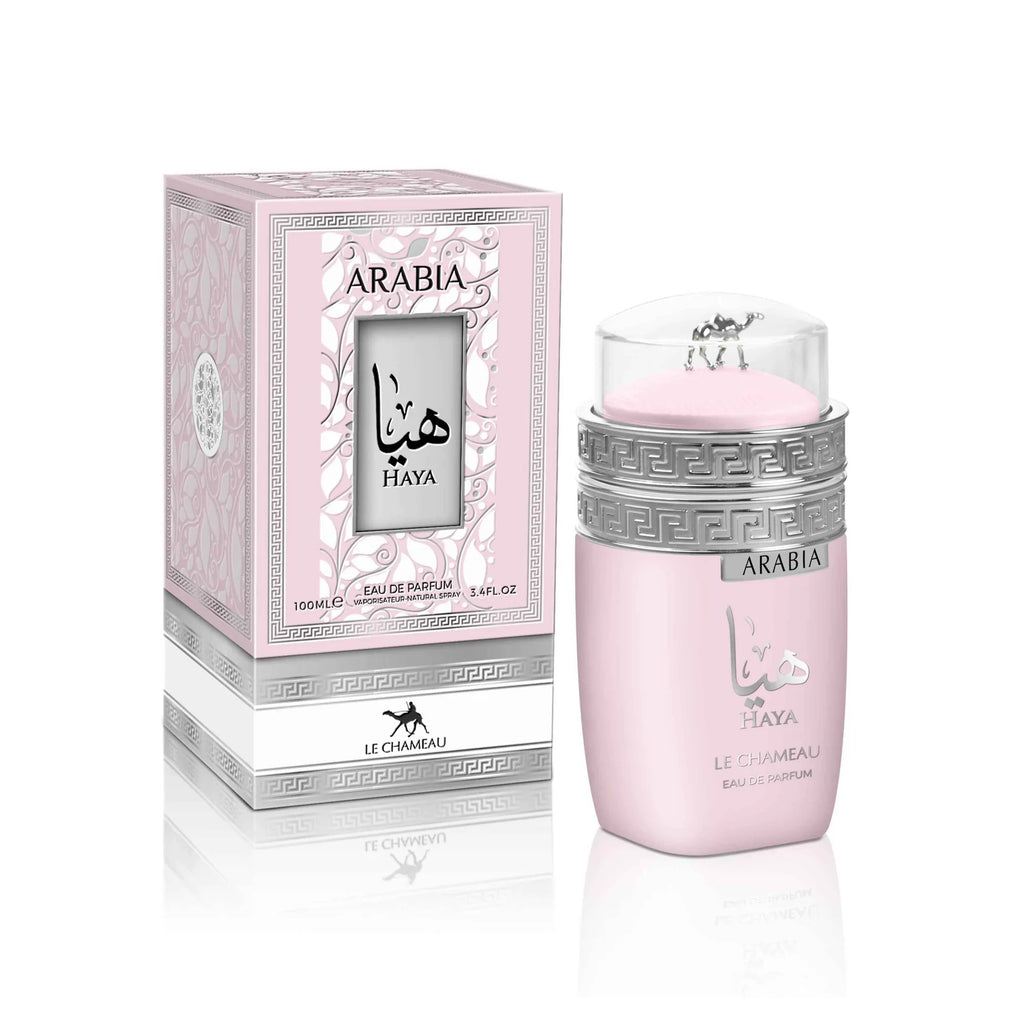 Arabia Haya Le Chameau