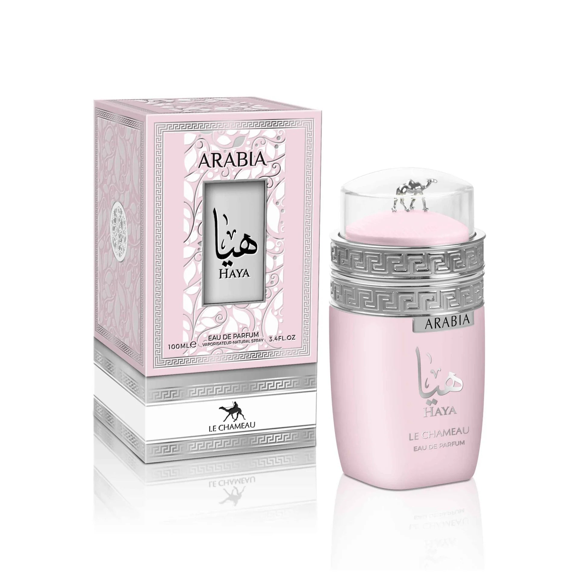 Arabia Haya Le Chameau