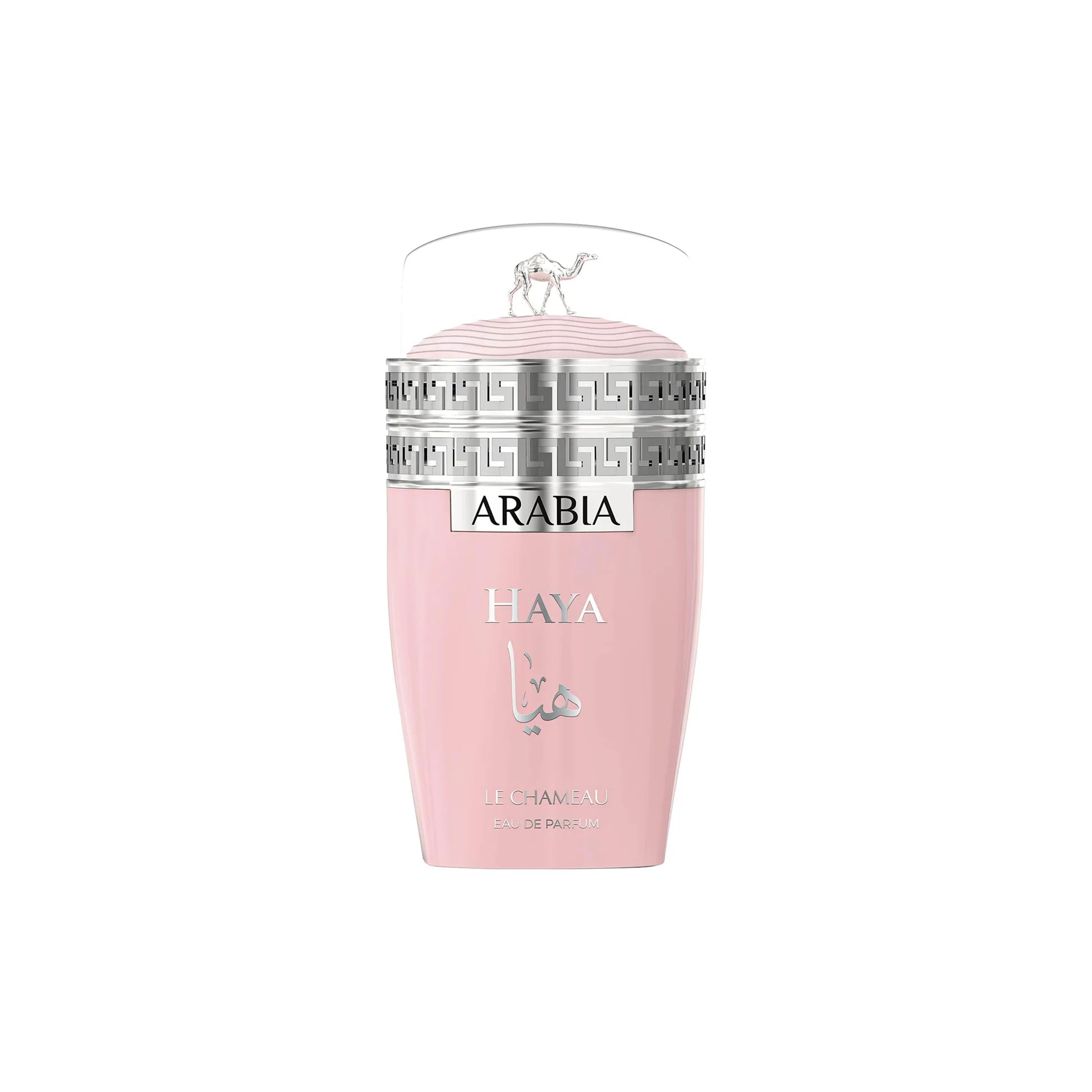 Arabia Haya Le Chameau
